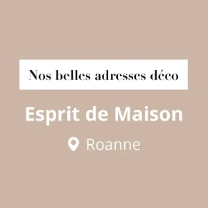 ✨ À la recherche d’une belle adresse déco à Roanne ? 🛋️

Poussez la porte d’ @esprit.de.maison, une boutique incontournable pour donner...
