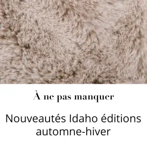 🍂 Nouveautés à découvrir - Idaho collection Automne-Hiver

La nouvelle collection automne-hiver @idaho_editions apporte chaleur et caractère...