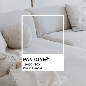 Cap sur le Cloud Dancer ☁️✨

C’est la nuance incontournable de 2026 pour un intérieur empreint de sérénité, de lumière et de modernité....