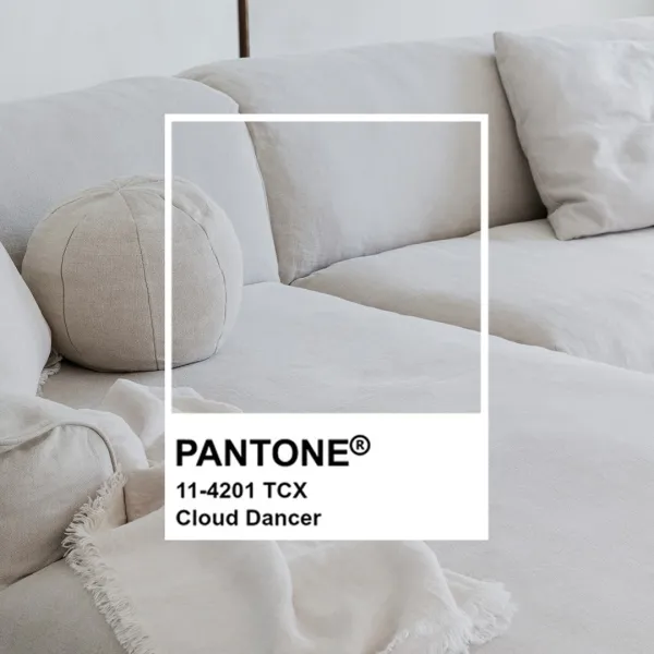 Cap sur le Cloud Dancer ☁️✨

C’est la nuance incontournable de 2026 pour un intérieur empreint de sérénité, de lumière et de modernité.... Galerie Instagram