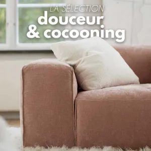 💘 Moodboard douceur et cocooning

Plongez dans une palette de nuances douces et poudrées, déclinée sur une sélection exclusive de canapés,...