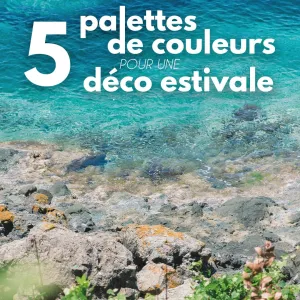🎨 5 palettes de couleurs pour une déco estivale 

L’été est la saison idéale pour jouer avec les couleurs et créer une ambiance qui vous...
