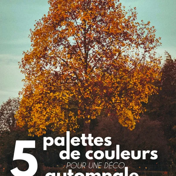 🍂 5 palettes de couleurs pour une déco automnale

L’automne est la saison idéale pour réchauffer son intérieur et jouer avec des couleurs... Galerie Instagram
