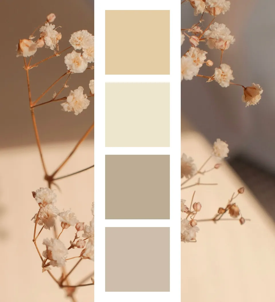 palette-beige
