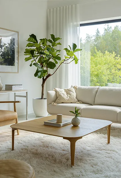 Déco printemps 2026 : comment réveiller son intérieur avec élégance ?